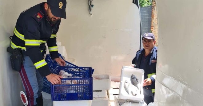 Sora: Polizia ferma autocarro per controllo e trova carico di pesce avariato