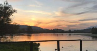 Posta Fibreno, passeggiata guidata alla scoperta degli anfibi nella riserva del lago
