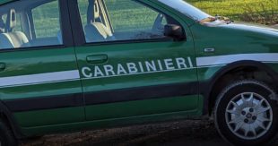 Vicalvi, sequestrati rifiuti abbandonati lungo la strada: indagini dei Carabinieri Forestali