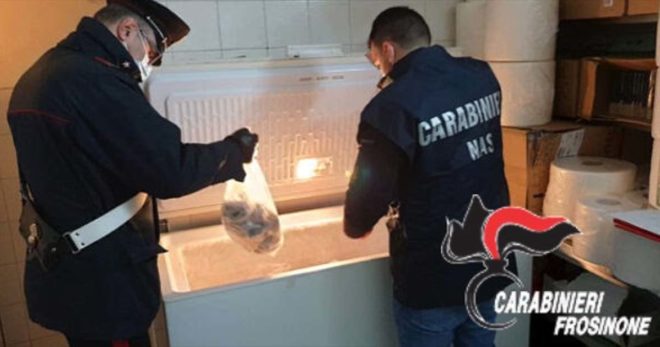 Sicurezza alimentare: controlli dei NAS agli esercizi commerciali