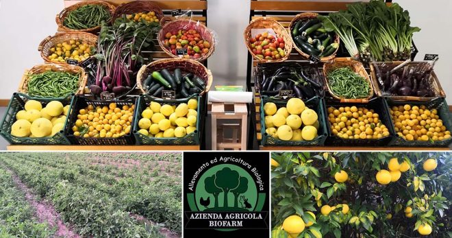 BioFarm: innovazione e sostenibilità nell’agricoltura biologica a Sora