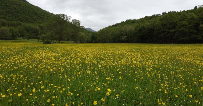 Pescosolido: nasce un comitato spontaneo per l’ingresso nel Parco nazionale d’Abruzzo