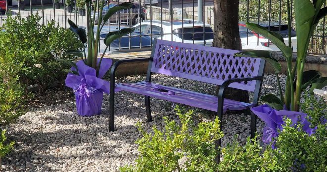 Arce, inaugurata la panchina lilla contro i disturbi del comportamento alimentare