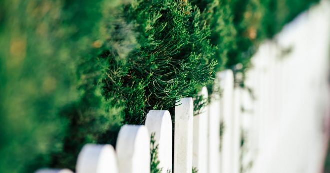 Recinzioni per il giardino: idee, soluzioni e adempimenti