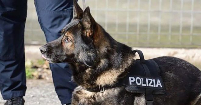 “Scuole sicure”, controlli a Sora e Arpino contro lo spaccio vicino alle scuole