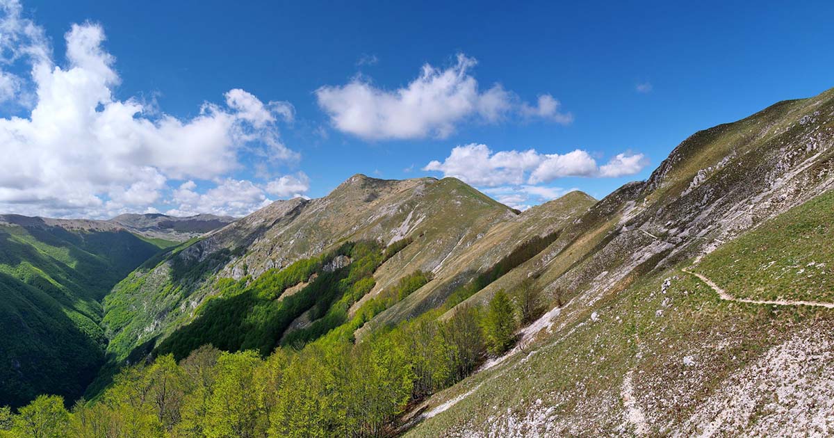Pescosolido, referendum su ingresso nel PNALM: vince il no