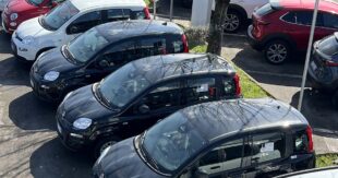 Fiat Pandina usata: vari modelli a prezzi irripetibili fino al 22 marzo 2026