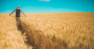 Lazio, il ritorno alla terra: balzo storico del numero di giovani imprenditori in agricoltura