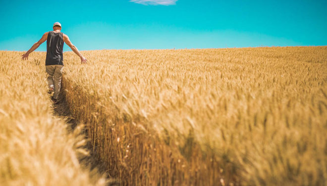 Lazio, il ritorno alla terra: balzo storico del numero di giovani imprenditori in agricoltura