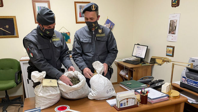 La Guardia di Finanza sequestra 188 kg di marijuana