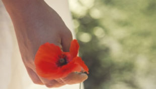 SORA – “Inizio da me”, mostra fotografica nel Chiostro della Biblioteca Comunale