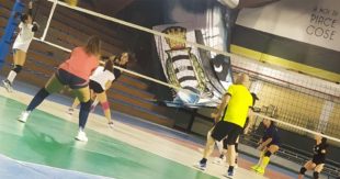 VIS SORA VOLLEY – Le bianconere giocheranno le gare casalinghe al “PalaPolsinelli”