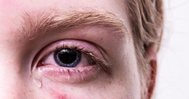 Giornata mondiale contro la violenza sulle donne: le celebrazioni del Comune di Sora