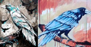 “Crows”: Rocco Alonzi espone a Posta Fibreno