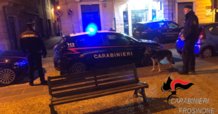 Sora: rafforzati i controlli antidroga in centro con il Nucleo Cinofili Carabinieri di Roma