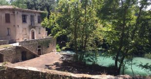 Premio Quadrifoglio verde 2023 – Vince il photo contest “Isola del Liri 2.0 REMORICE”