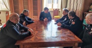 Sora: pascolo abusivo nelle zone agricole, summit in Comune con i Carabinieri Forestali