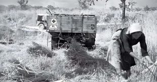 “La Guerra in casa”: mostra fotografica con immagini del 1944/45 scattate nel circondario di Sora