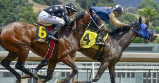 Scommesse sportive, mercato in crescita trainato dai giochi di ultima generazione