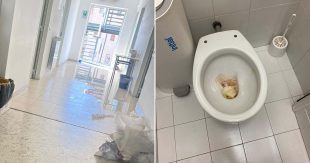 Sora, problemi nei bagni del liceo “Gioberti”: interviene la Provincia