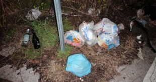 Sora, rifiuti abbandonati in zona Costantinopoli e colonia felina a rischio: la segnalazione di una lettrice