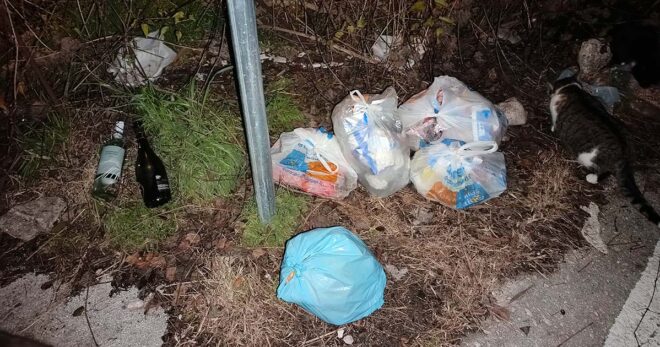 Sora, rifiuti abbandonati in zona Costantinopoli e colonia felina a rischio: la segnalazione di una lettrice