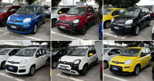 Fiat Pandina usata: tanti esemplari in pronta consegna per te al Mercatino Jolly Automobili